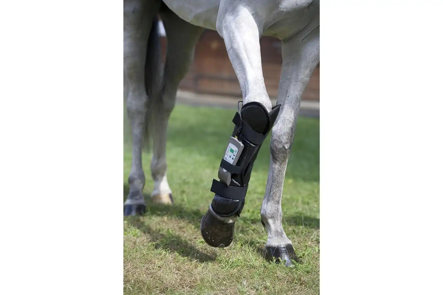 OMI PEMF Full Equine Package: Blanket, Shoulder Band, Neck Wrap, Rear Leg Wrap, Front Leg Wrap